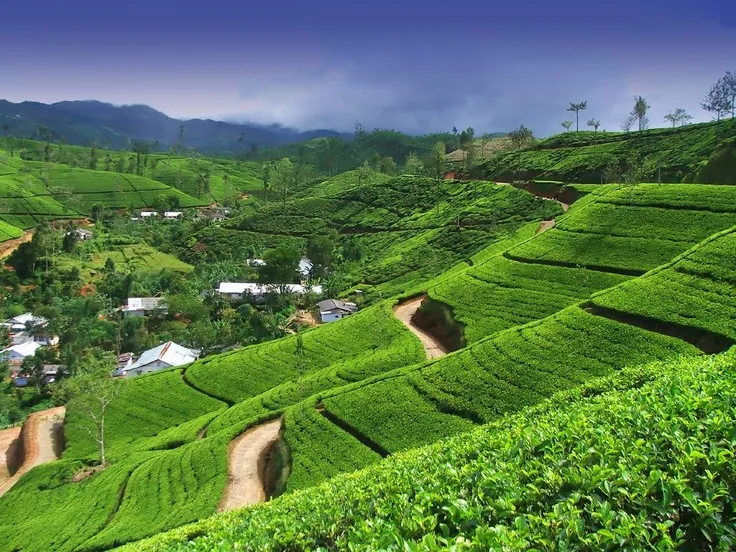 Sri Lanka Tour from Bangalore
